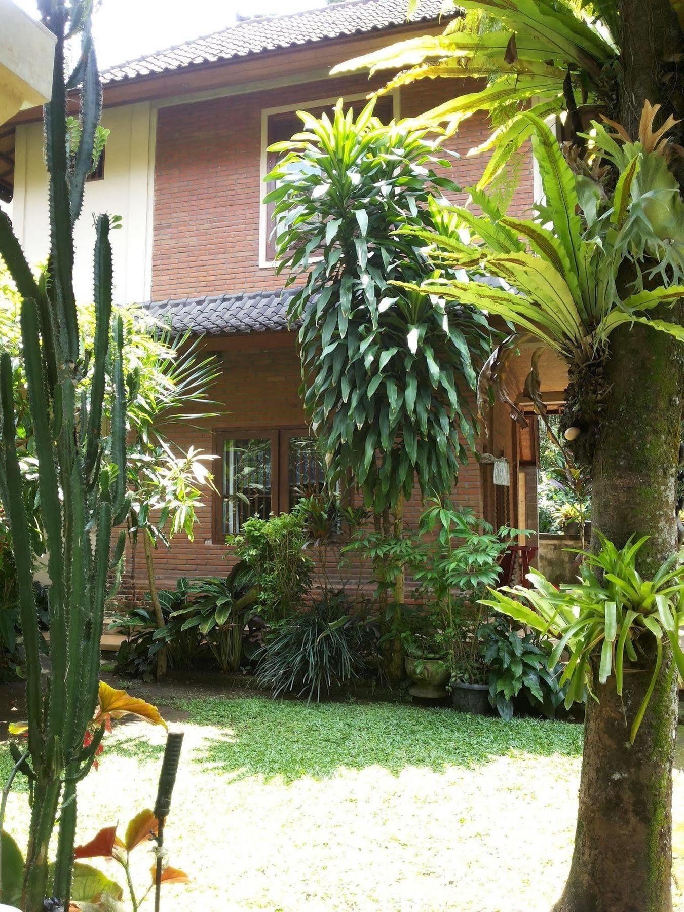 Ben'S Homestay Ubud Exteriör bild