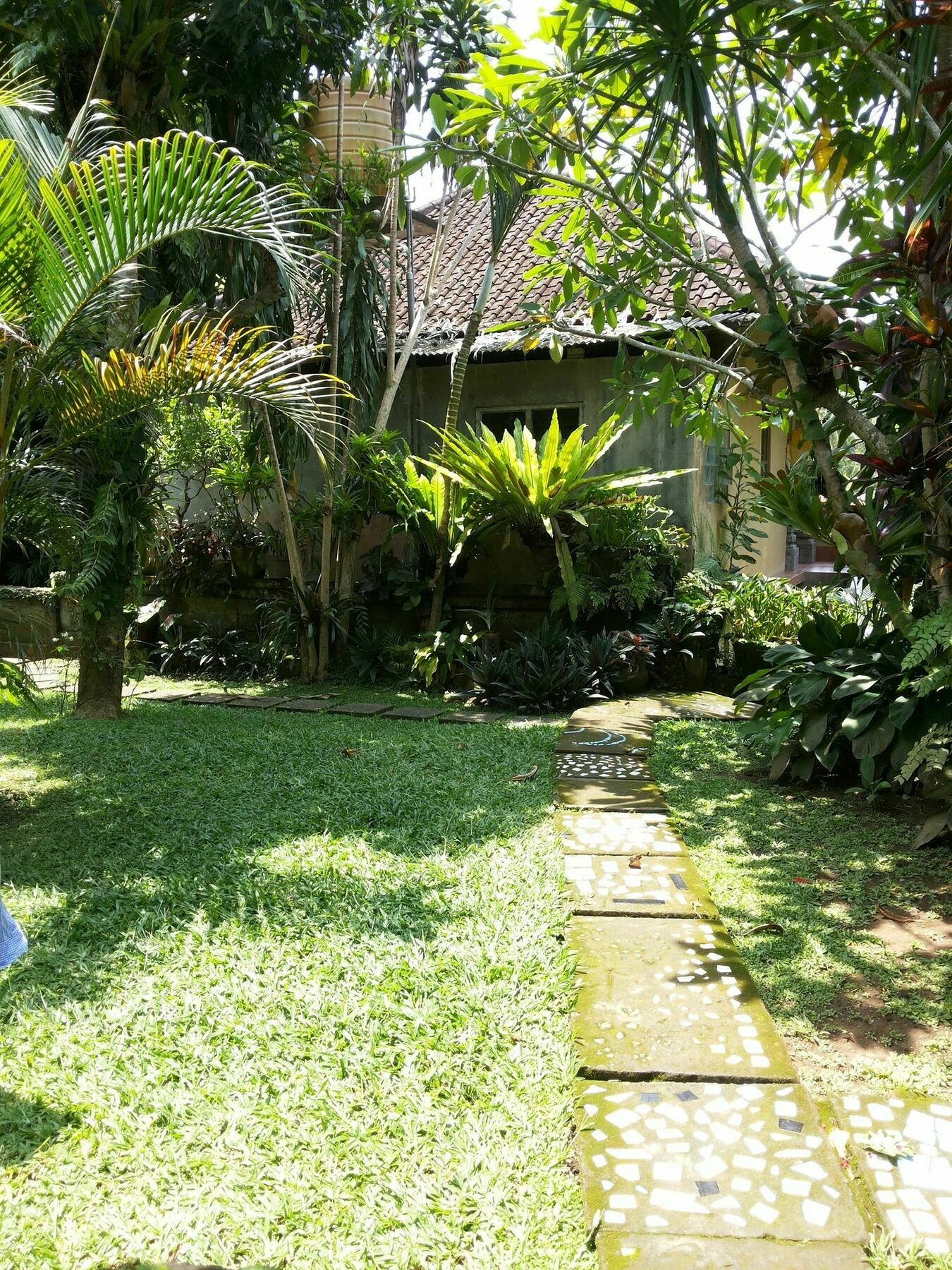 Ben'S Homestay Ubud Exteriör bild