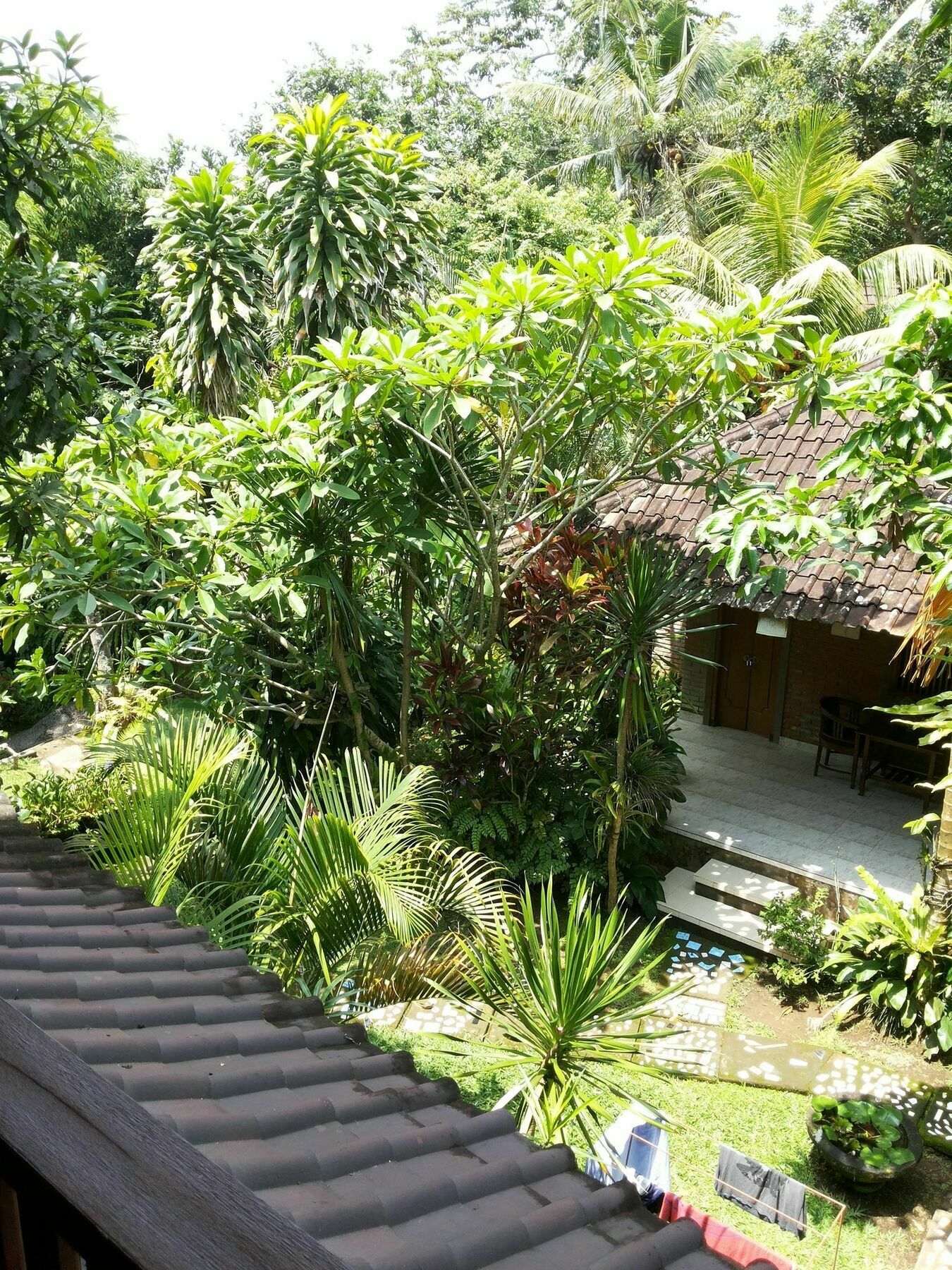 Ben'S Homestay Ubud Exteriör bild